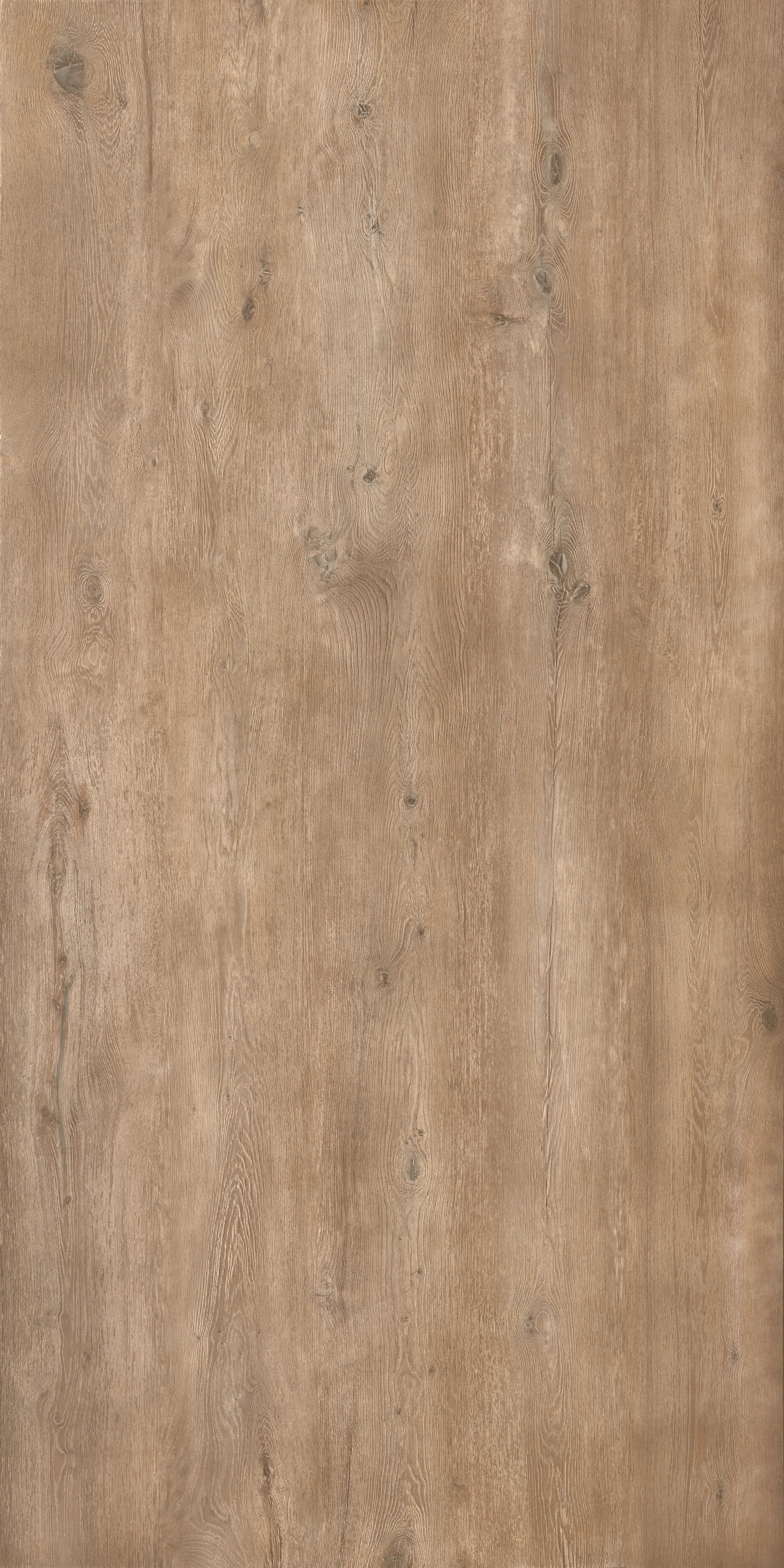Legno